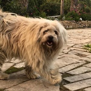 Meet your Posher, Nate